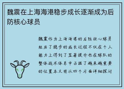 魏震在上海海港稳步成长逐渐成为后防核心球员